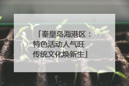 秦皇岛海港区：特色活动人气旺 传统文化焕新生