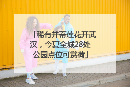 稀有并蒂莲花开武汉，今夏全城28处公园点位可赏荷