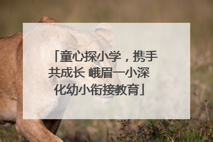 童心探小学，携手共成长 峨眉一小深化幼小衔接教育