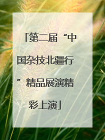 第二届“中国杂技北疆行”精品展演精彩上演