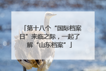 第十八个“国际档案日”来临之际，一起了解“山东档案”
