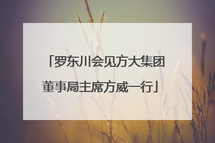 罗东川会见方大集团董事局主席方威一行