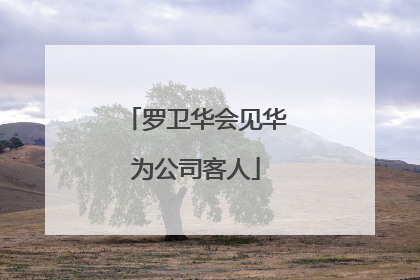 罗卫华会见华为公司客人