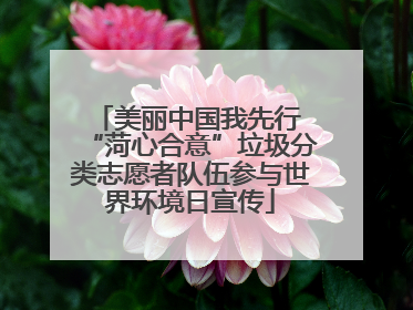 美丽中国我先行 “菏心合意”垃圾分类志愿者队伍参与世界环境日宣传