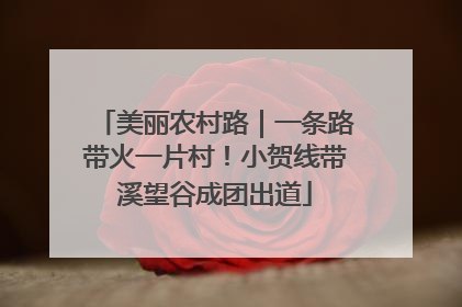 美丽农村路｜一条路带火一片村！小贺线带溪望谷成团出道