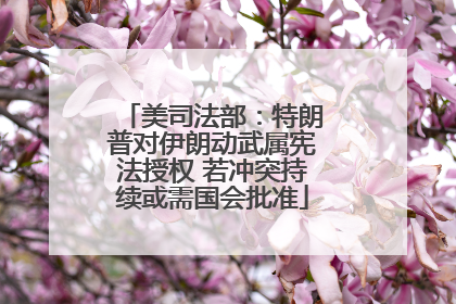 美司法部：特朗普对伊朗动武属宪法授权 若冲突持续或需国会批准