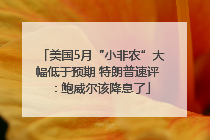 美国5月“小非农”大幅低于预期 特朗普速评：鲍威尔该降息了