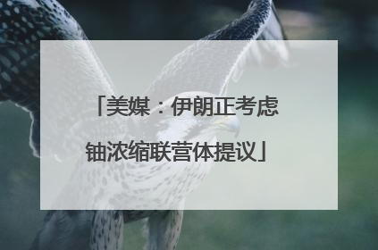 美媒：伊朗正考虑铀浓缩联营体提议