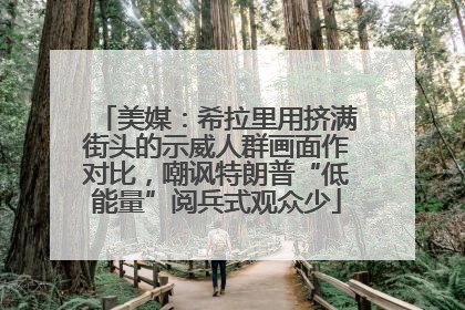 美媒：希拉里用挤满街头的示威人群画面作对比，嘲讽特朗普“低能量”阅兵式观众少