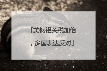 美钢铝关税加倍，多国表达反对