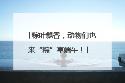 粽叶飘香，动物们也来“粽”享端午！