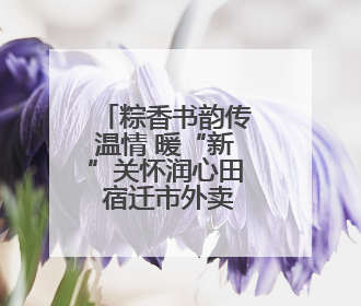 粽香书韵传温情 暖“新”关怀润心田 宿迁市外卖送餐行业党委举办女骑手端午主题活动