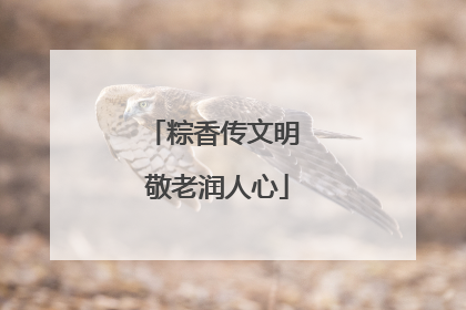 粽香传文明 敬老润人心