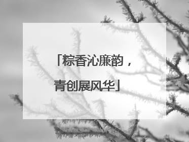 粽香沁廉韵，青创展风华