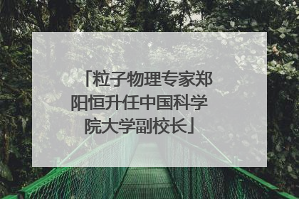 粒子物理专家郑阳恒升任中国科学院大学副校长