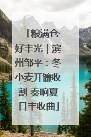 粮满仓·好丰光｜滨州邹平：冬小麦开镰收割 奏响夏日丰收曲