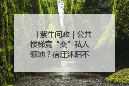 紫牛问政｜公共楼梯竟“变”私人领地？宿迁沭阳不动产登记引质疑