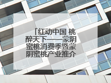 红动中国 桃醉天下——蒙阴蜜桃消费季暨蒙阴蜜桃产业推介会成功举办