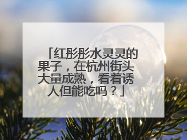 红彤彤水灵灵的果子，在杭州街头大量成熟，看着诱人但能吃吗？
