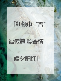红领巾“杏”福传递 粽香情暖夕阳红