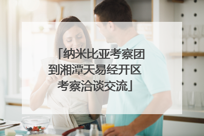 纳米比亚考察团到湘潭天易经开区考察洽谈交流
