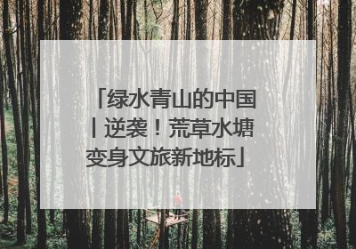 绿水青山的中国丨逆袭！荒草水塘变身文旅新地标