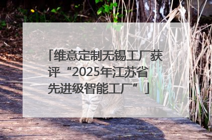 维意定制无锡工厂获评“2025年江苏省先进级智能工厂”