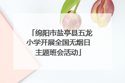 绵阳市盐亭县五龙小学开展全国无烟日主题班会活动