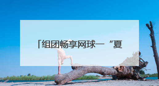 组团畅享网球一“夏” 郑州市第七届业余网球团体赛开拍