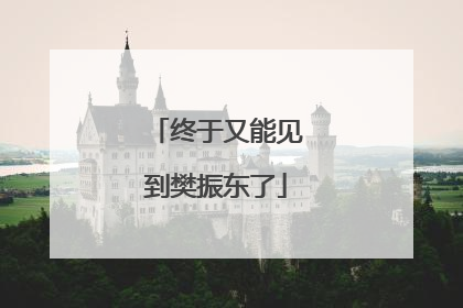 终于又能见到樊振东了