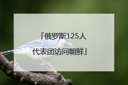 俄罗斯125人代表团访问朝鲜