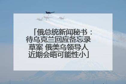 俄总统新闻秘书：待乌克兰回应备忘录草案 俄美乌领导人近期会晤可能性小