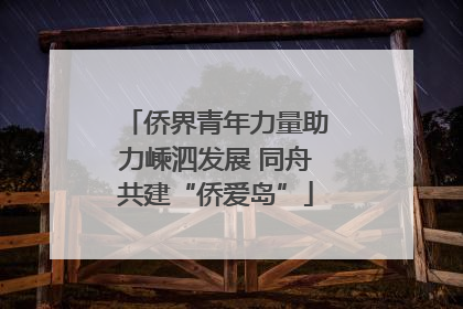 侨界青年力量助力嵊泗发展 同舟共建“侨爱岛”