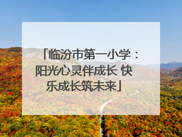 临汾市第一小学：阳光心灵伴成长 快乐成长筑未来