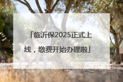 临沂保2025正式上线，缴费开始办理啦