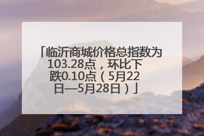 临沂商城价格总指数为103.28点，环比下跌0.10点（5月22日—5月28日）