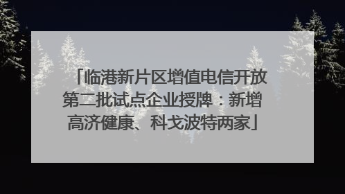 临港新片区增值电信开放第二批试点企业授牌：新增高济健康、科戈波特两家