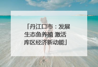 丹江口市：发展生态鱼养殖 激活库区经济新动能