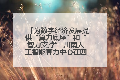 为数字经济发展提供“算力底座”和“智力支撑” 川南人工智能算力中心在四川泸州启动