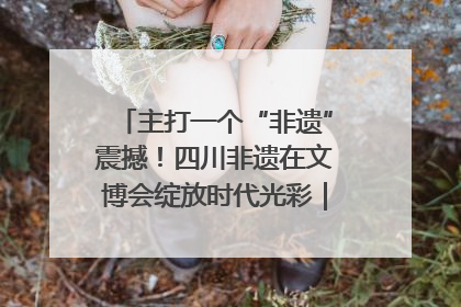 主打一个“非遗”震撼！四川非遗在文博会绽放时代光彩｜文博向“新”