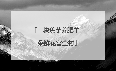 一块蕉芋养肥羊 一朵鲜花富全村