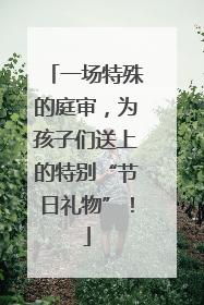 一场特殊的庭审，为孩子们送上的特别“节日礼物”！
