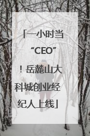 一小时当“CEO”！岳麓山大科城创业经纪人上线
