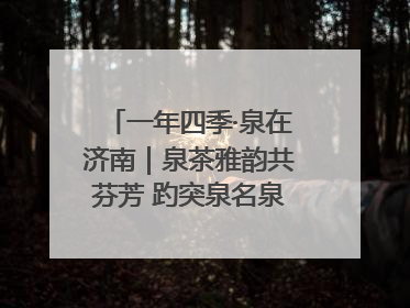 一年四季·泉在济南｜泉茶雅韵共芬芳 趵突泉名泉茗茶品鉴会举行