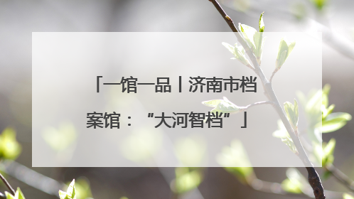 一馆一品丨济南市档案馆：“大河智档”