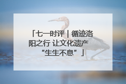 七一时评｜循迹洛阳之行 让文化遗产“生生不息”