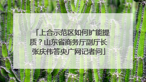 上合示范区如何扩能提质？山东省商务厅副厅长张庆伟答央广网记者问