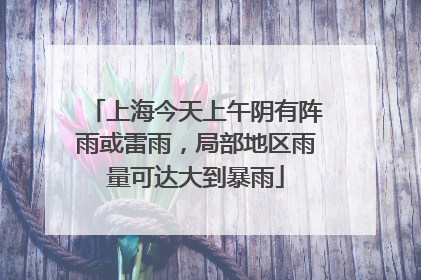 上海今天上午阴有阵雨或雷雨，局部地区雨量可达大到暴雨