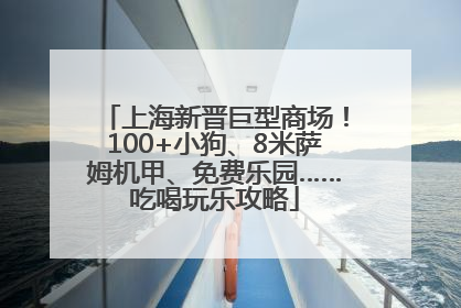 上海新晋巨型商场！100+小狗、8米萨姆机甲、免费乐园……吃喝玩乐攻略