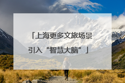 上海更多文旅场景引入“智慧大脑”